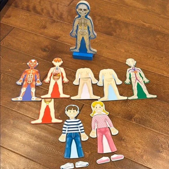 educational toy melissa and doug magnetic human body